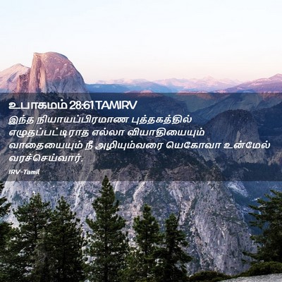 Picture 02 - உபாகமம் 28:61 TAMIRV - இந்த - Bible Verse Picture