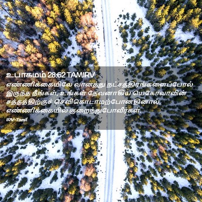 Picture 02 - உபாகமம் 28:62 TAMIRV - எண்ணிக்கையிலே - Bible Verse Picture