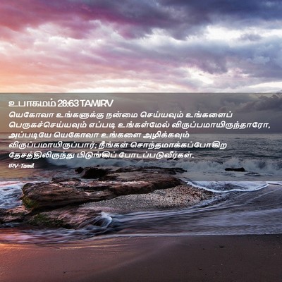 Picture 02 - உபாகமம் 28:63 TAMIRV - யெகோவா உங்களுக்கு - Bible Verse Picture