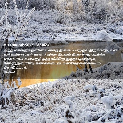Picture 02 - உபாகமம் 28:65 TAMIRV - அந்த - Bible Verse Picture