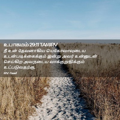 Picture 02 - உபாகமம் 29:11 TAMIRV - நீ உன் தேவனாகிய - Bible Verse Picture
