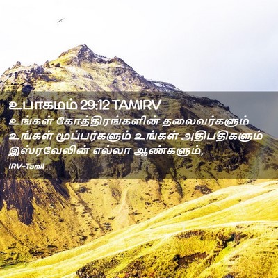 Picture 02 - உபாகமம் 29:12 TAMIRV - உங்கள் - Bible Verse Picture