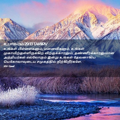 Picture 02 - உபாகமம் 29:13 TAMIRV - உங்கள் - Bible Verse Picture