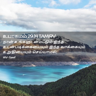 Picture 02 - உபாகமம் 29:14 TAMIRV - நான் - Bible Verse Picture