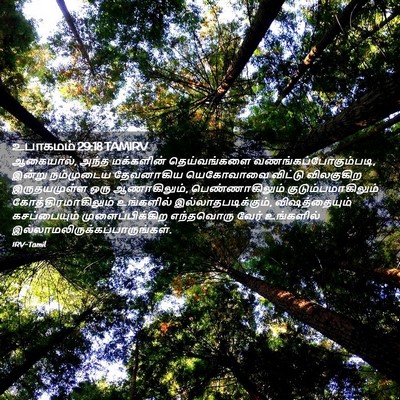 Picture 02 - உபாகமம் 29:18 TAMIRV - ஆகையால், அந்த - Bible Verse Picture