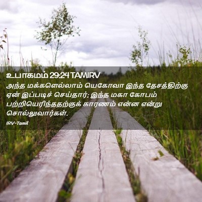 Picture 02 - உபாகமம் 29:24 TAMIRV - அந்த மக்களெல்லாம் - Bible Verse Picture