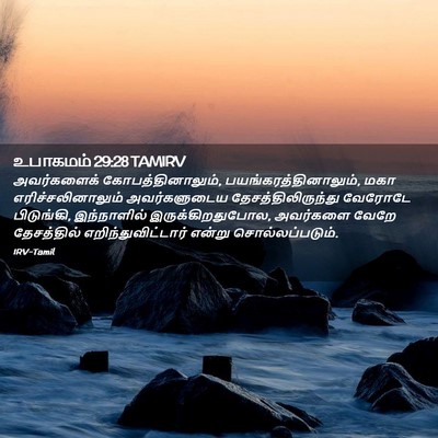 Picture 02 - உபாகமம் 29:28 TAMIRV - அவர்களைக் - Bible Verse Picture