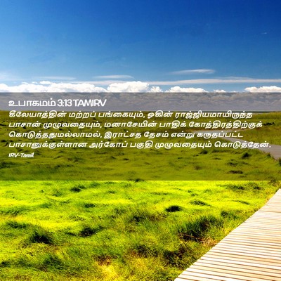 Picture 02 - உபாகமம் 3:13 TAMIRV - கீலேயாத்தின் - Bible Verse Picture