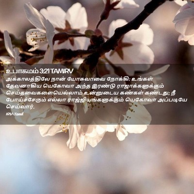 Picture 02 - உபாகமம் 3:21 TAMIRV - அக்காலத்திலே நான் - Bible Verse Picture