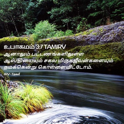 Picture 02 - உபாகமம் 3:7 TAMIRV - ஆனாலும் - Bible Verse Picture