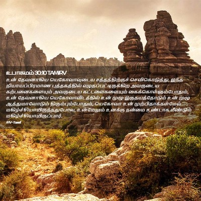 Picture 02 - உபாகமம் 30:10 TAMIRV - உன் தேவனாகிய - Bible Verse Picture