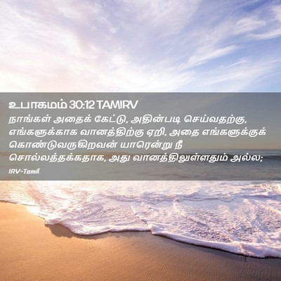 Picture 02 - உபாகமம் 30:12 TAMIRV - நாங்கள் அதைக் - Bible Verse Picture