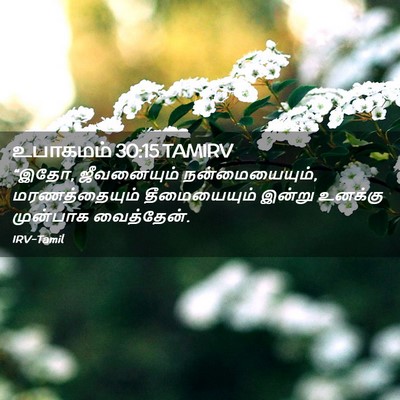 Picture 02 - உபாகமம் 30:15 TAMIRV - “இதோ, ஜீவனையும் - Bible Verse Picture
