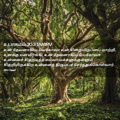 Picture 02 - உபாகமம் 30:3 TAMIRV - உன் தேவனாகிய - Bible Verse Picture