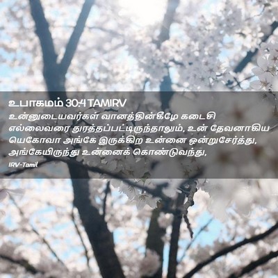 Picture 02 - உபாகமம் 30:4 TAMIRV - உன்னுடையவர்கள் - Bible Verse Picture
