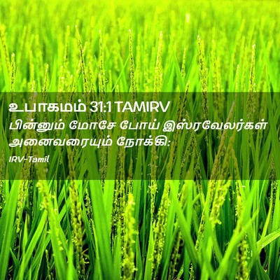 Picture 02 - உபாகமம் 31:1 TAMIRV - பின்னும் மோசே - Bible Verse Picture