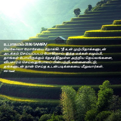 Picture 02 - உபாகமம் 31:16 TAMIRV - யெகோவா மோசேயை - Bible Verse Picture