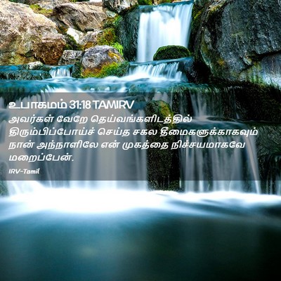 Picture 02 - உபாகமம் 31:18 TAMIRV - அவர்கள் வேறே - Bible Verse Picture