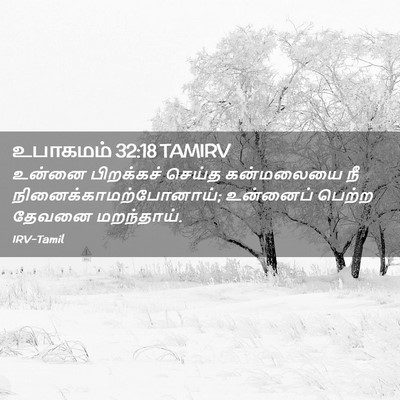 Picture 02 - உபாகமம் 32:18 TAMIRV - உன்னை பிறக்கச் - Bible Verse Picture
