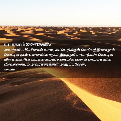 Picture 02 - உபாகமம் 32:24 TAMIRV - அவர்கள் பசியினால் - Bible Verse Picture