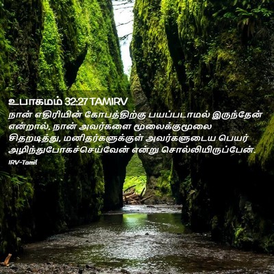 Picture 02 - உபாகமம் 32:27 TAMIRV - நான் எதிரியின் - Bible Verse Picture