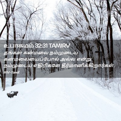 Picture 02 - உபாகமம் 32:31 TAMIRV - தங்கள் கன்மலை - Bible Verse Picture