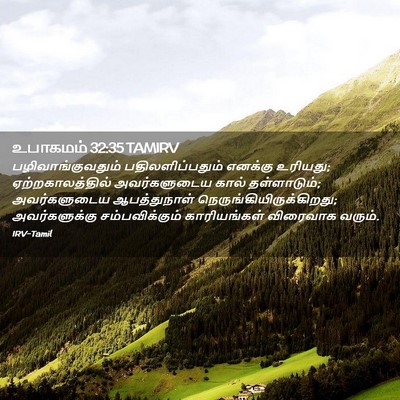Picture 02 - உபாகமம் 32:35 TAMIRV - பழிவாங்குவதும் - Bible Verse Picture