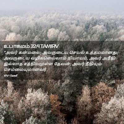 Picture 02 - உபாகமம் 32:4 TAMIRV - “அவர் கன்மலை; - Bible Verse Picture