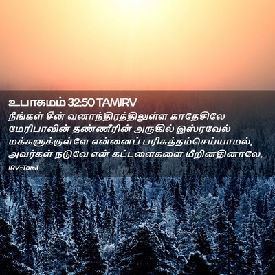 Picture 02 - உபாகமம் 32:50 TAMIRV - நீங்கள் சீன் - Bible Verse Picture