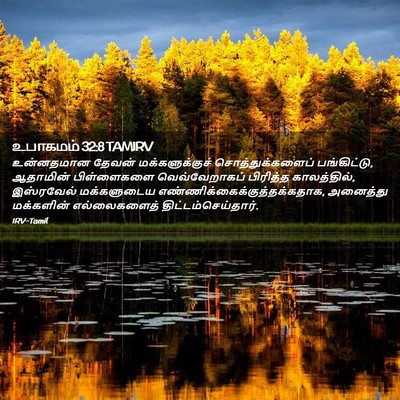 Picture 02 - உபாகமம் 32:8 TAMIRV - உன்னதமான தேவன் - Bible Verse Picture