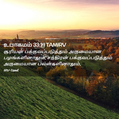 Picture 02 - உபாகமம் 33:14 TAMIRV - சூரியன் - Bible Verse Picture