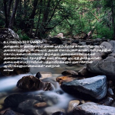 Picture 02 - உபாகமம் 33:17 TAMIRV - அவனுடைய அலங்காரம் - Bible Verse Picture