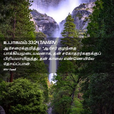 Picture 02 - உபாகமம் 33:24 TAMIRV - ஆசேரைக்குறித்து: - Bible Verse Picture