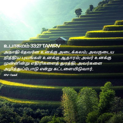 Picture 02 - உபாகமம் 33:27 TAMIRV - அநாதி தேவனே - Bible Verse Picture