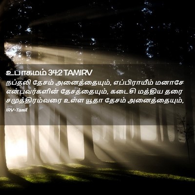 Picture 02 - உபாகமம் 34:2 TAMIRV - நப்தலி தேசம் - Bible Verse Picture