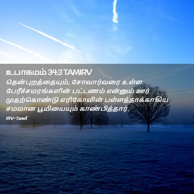Picture 02 - உபாகமம் 34:3 TAMIRV - தென்புறத்தையும், - Bible Verse Picture