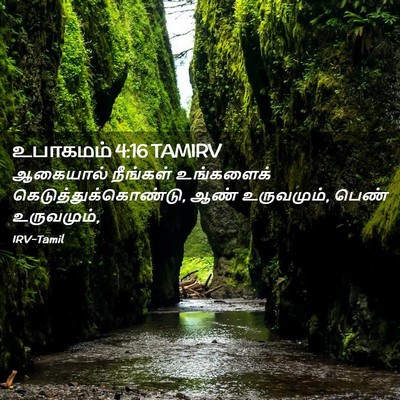 Picture 02 - உபாகமம் 4:16 TAMIRV - ஆகையால் நீங்கள் - Bible Verse Picture