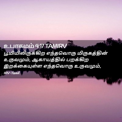 Picture 02 - உபாகமம் 4:17 TAMIRV - பூமியிலிருக்கிற - Bible Verse Picture