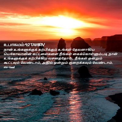 Picture 02 - உபாகமம் 4:2 TAMIRV - நான் உங்களுக்குக் - Bible Verse Picture