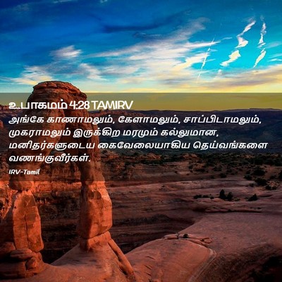 Picture 02 - உபாகமம் 4:28 TAMIRV - அங்கே காணாமலும், - Bible Verse Picture