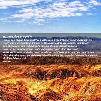 Picture 02 - உபாகமம் 4:34 TAMIRV - அல்லது உங்கள் - Bible Verse Picture