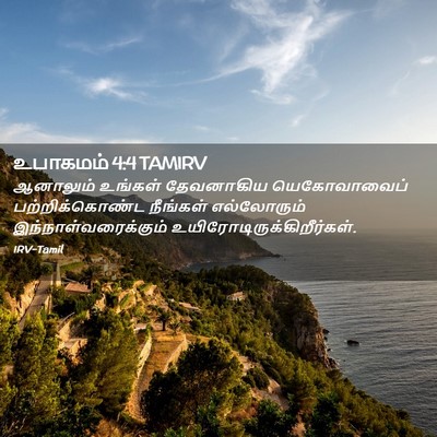 Picture 02 - உபாகமம் 4:4 TAMIRV - ஆனாலும் உங்கள் - Bible Verse Picture
