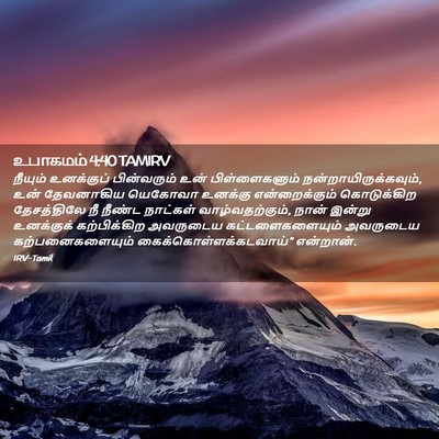 Picture 02 - உபாகமம் 4:40 TAMIRV - நீயும் உனக்குப் - Bible Verse Picture