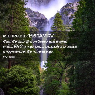 Picture 02 - உபாகமம் 4:46 TAMIRV - மோசேயும் இஸ்ரவேல் - Bible Verse Picture