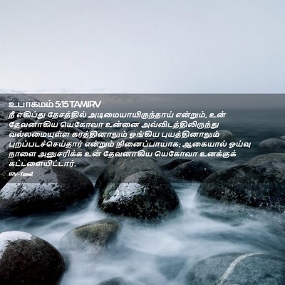 Picture 02 - உபாகமம் 5:15 TAMIRV - நீ எகிப்து - Bible Verse Picture
