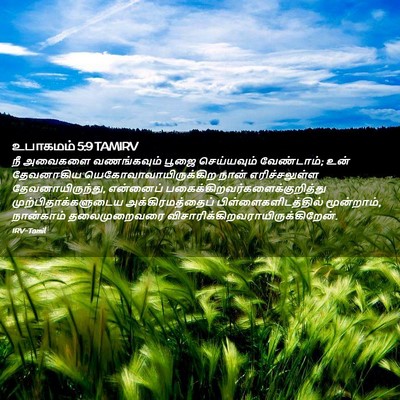 Picture 02 - உபாகமம் 5:9 TAMIRV - நீ அவைகளை - Bible Verse Picture