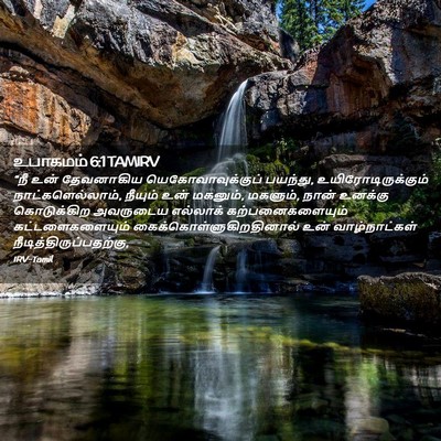 Picture 02 - உபாகமம் 6:1 TAMIRV - “நீ உன் தேவனாகிய - Bible Verse Picture