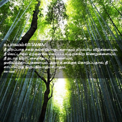 Picture 02 - உபாகமம் 6:11 TAMIRV - நீ நிரப்பாத சகல - Bible Verse Picture