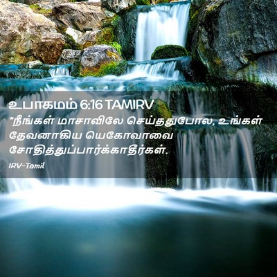 Picture 02 - உபாகமம் 6:16 TAMIRV - “நீங்கள் மாசாவிலே - Bible Verse Picture