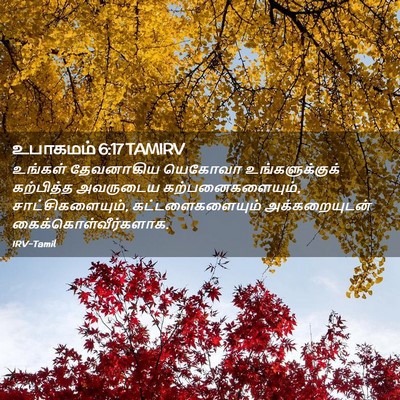 Picture 02 - உபாகமம் 6:17 TAMIRV - உங்கள் தேவனாகிய - Bible Verse Picture